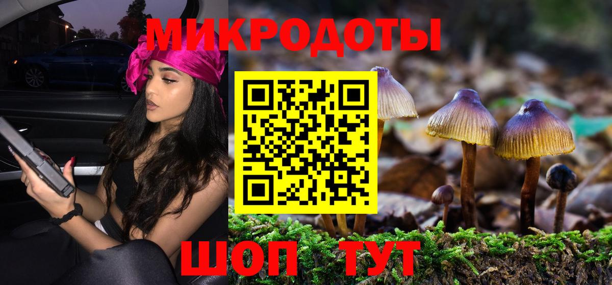 Галлюциногенные грибы Psilocybe  Вход с VPN  Псилоцибиновые грибы мухоморы  Богданович 
